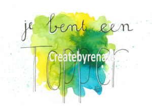 Je bent een Topper Nr.13