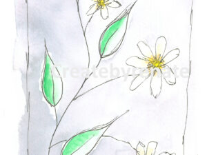 Witte bloemetjes Nr. 12