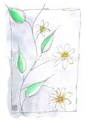 Witte bloemetjes Nr. 12